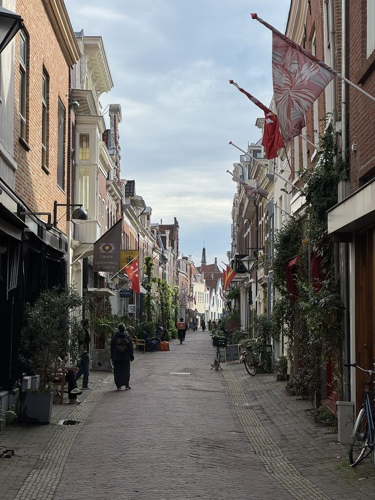 From my six months in the Netherlands
