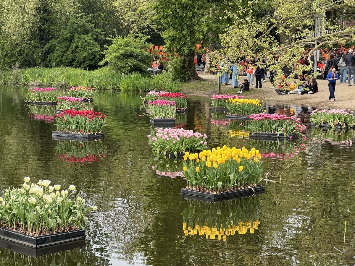 From my six months in the Netherlands