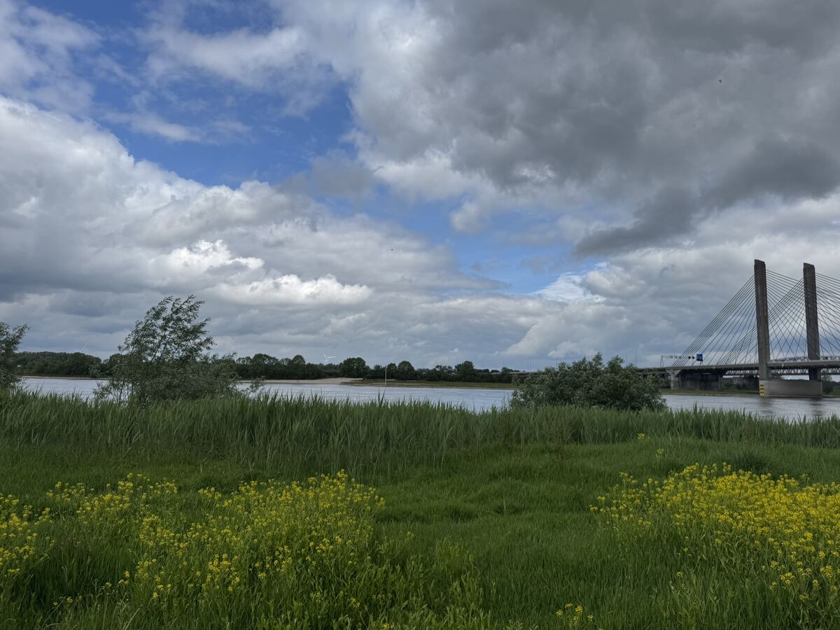 From my six months in the Netherlands