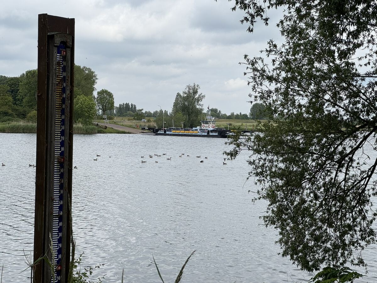 From my six months in the Netherlands