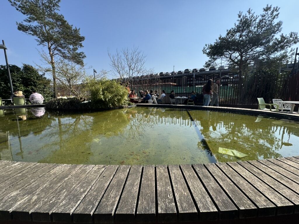 From my six months in the Netherlands