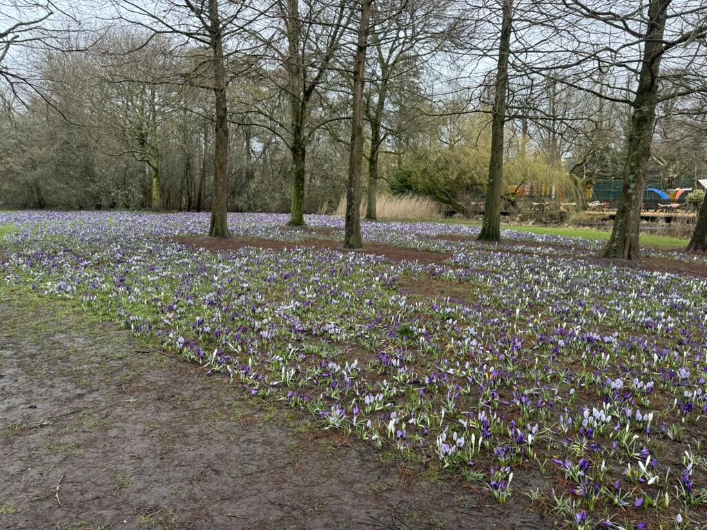 From my six months in the Netherlands