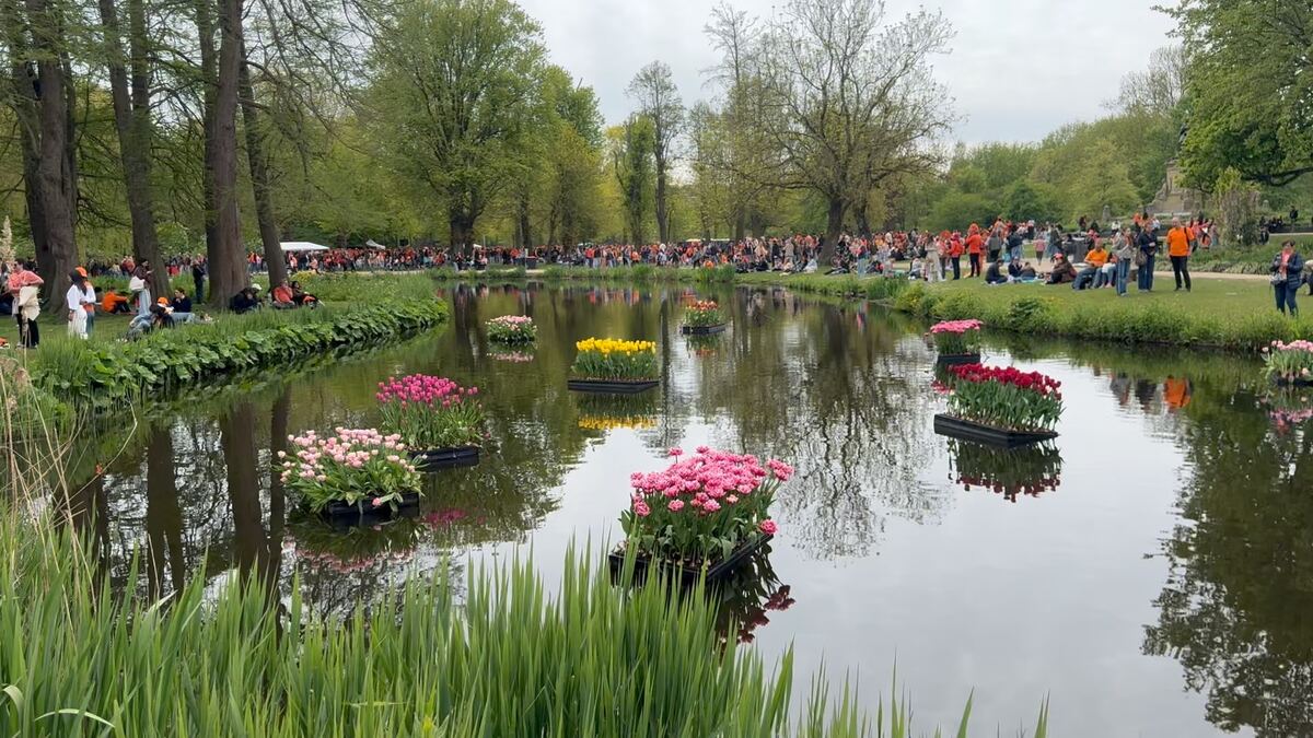 From my six months in the Netherlands