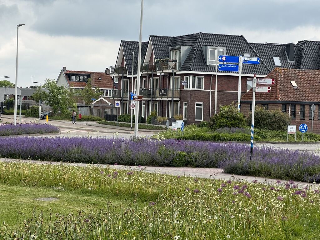 From my six months in the Netherlands