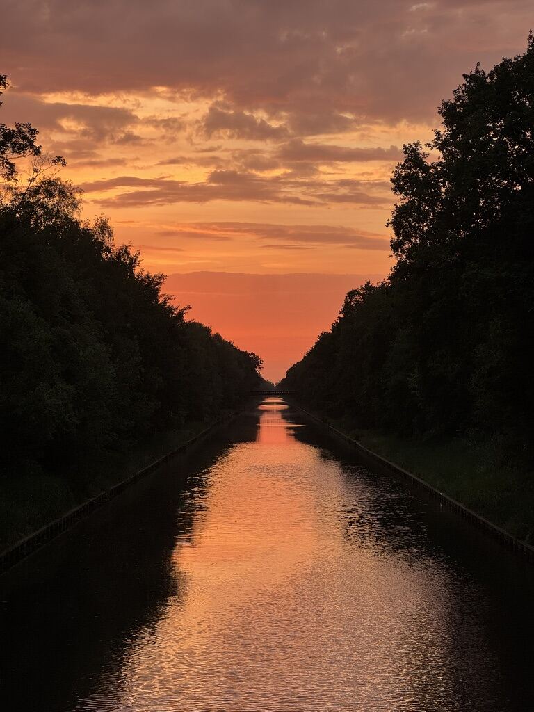 From my six months in the Netherlands